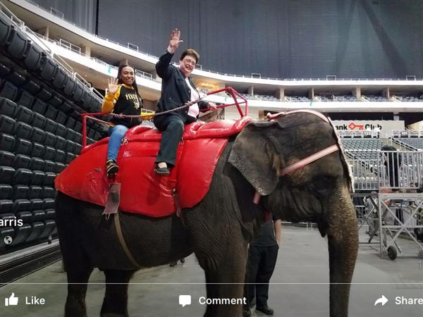 Circus Elephant Rides Ringling Bros. Elephants Settle Into Retirement