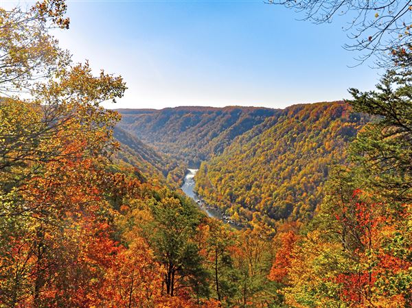 Easy To Fall For West Virginia S New River Gorge In Autumn