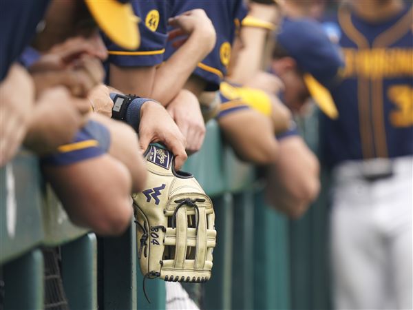 West Virginia players watch from the dugout before an NCAA regional baseball game against Kentucky on Friday, May 30, 2025, in Clemson, S.C. 
