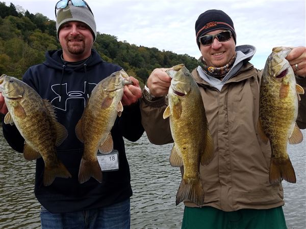 Fishing Report: Hot bass bite on the Allegheny, steelhead were