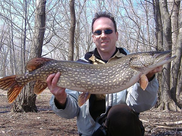 Outdoors notebook: Fish structures placed at Pymatuning