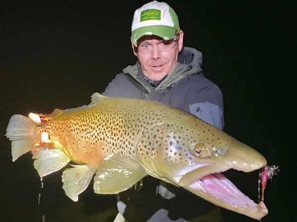 Catch big brown trout with big streamers