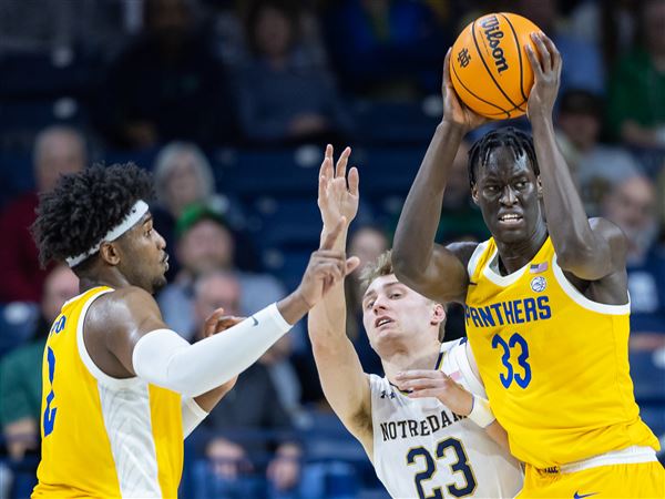 Pitt men's basketball gains momentum against Notre Dame - The Pitt News