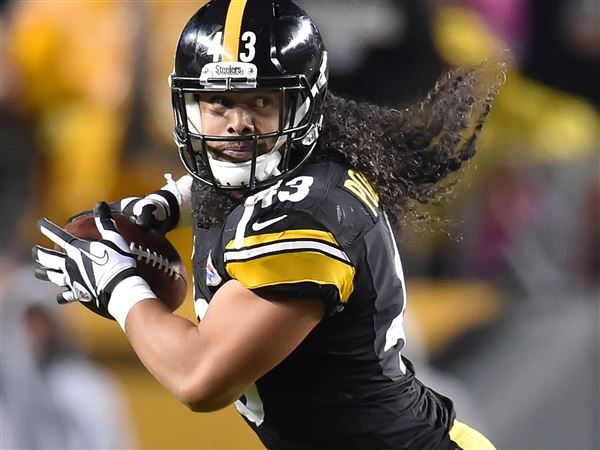 Troy Polamalu and Patrick Willis head first-time Hall of Fame