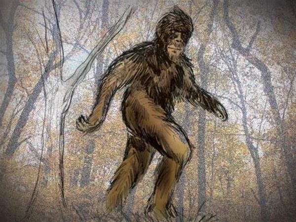 Alleged Bigfoot sighting in Illinois adds to legendary creature's fame |  Pittsburgh Post-Gazette