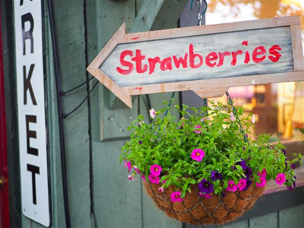 Sand Hill Berries, in Mount Pleasant, owned by Susan and Richard Lynn, has a market, cafes and live music in an outdoor patio area.