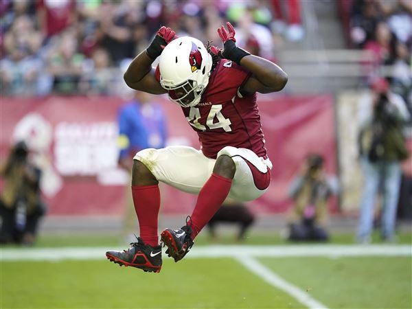 Steelers' Markus Golden: 'I've always loved the Steelers' defense'