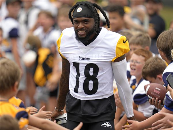 Steelers camp remains free, but tickets required