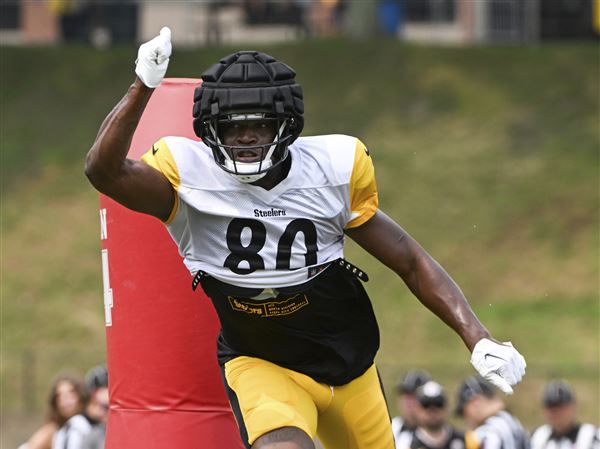 WATCH: Steelers rookies Darnell Washington, Nick Herbig shining