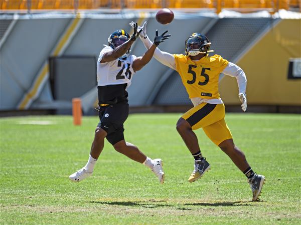 Steelers to conduct training camp at Heinz Field in 2020