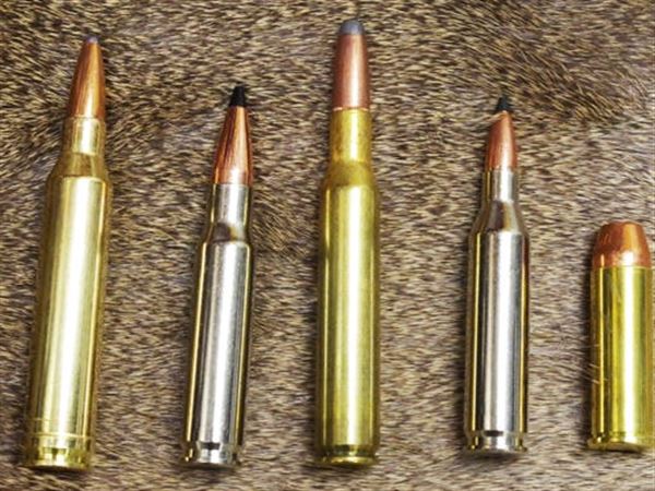 Alternative to high-power rifle ammo is now legal for hunting in Allegheny  County