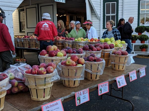 martinsburg apple harvest festival