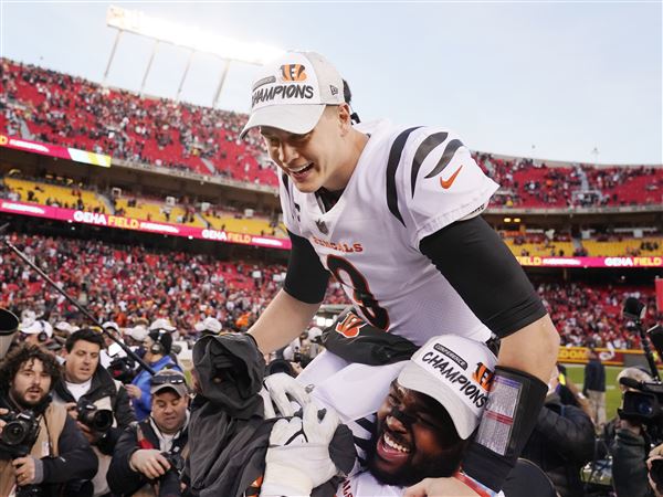 Cincinnati Bengals celebrate their first AFC North title since 2015