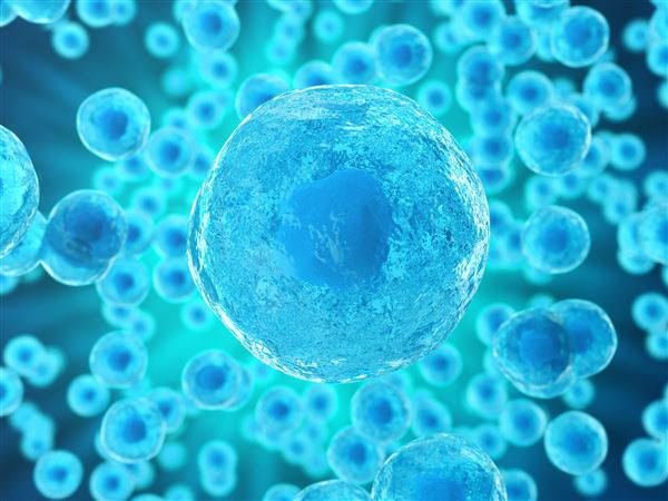 Pitt Researchers Unlock Clues To Cell Death Which Could Lead To 