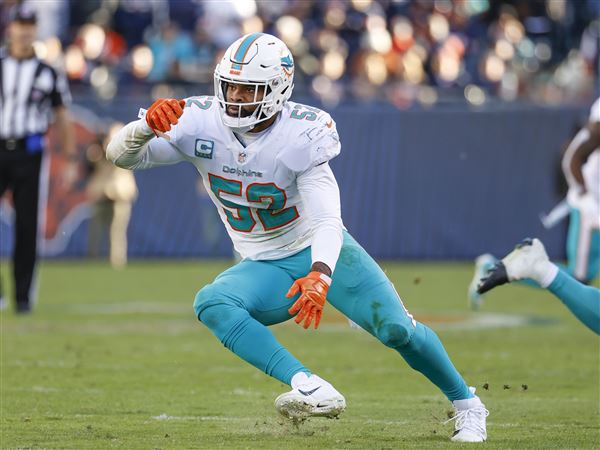 Steelers to sign Dolphins LB Elandon Roberts – WPXI