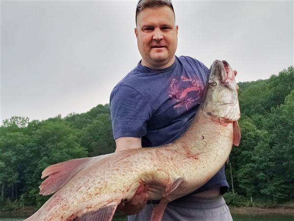 Fishing Report: Big muskies and catfish caught throughout the