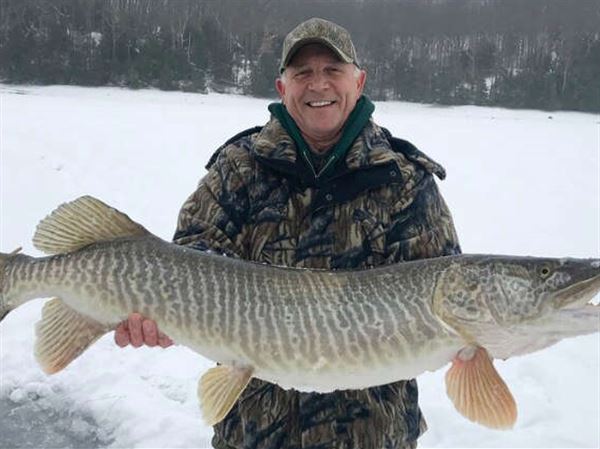 Check out this massive tiger muskie catch. Angler skill or maybe good  karma?