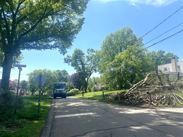 Fallen trees and branches in the Blackridge neighborhood of Churchill Borough. Aftermath from the April 29 storm that left 3 people dead and hundreds of thousands of people without power in the region.