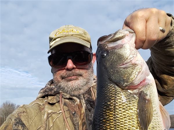 Lake Erie Smallmouth Bass Fishing: Seasonal Patterns, Baits, and