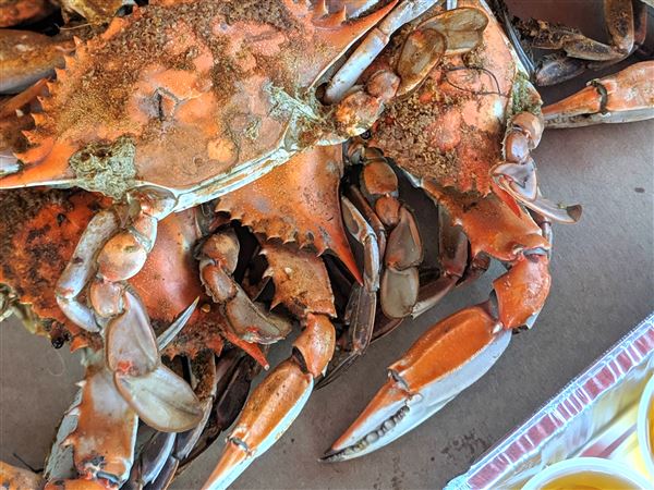 Blue crab goes from boat to table in Kent Narrows on Maryland's eastern  shore