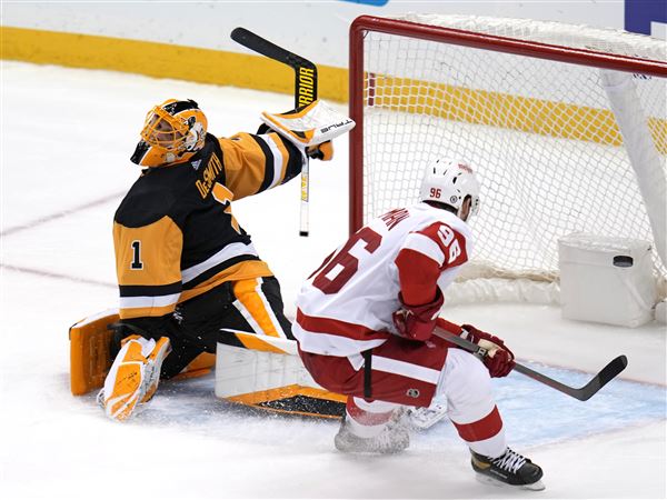 Red Wings lose close one, 2-1 - Pickin' Splinters