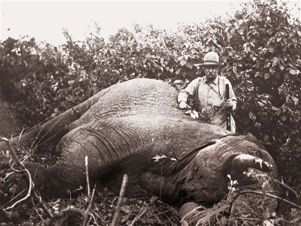 Big-game hunting has a long and storied history | Pittsburgh Post-Gazette