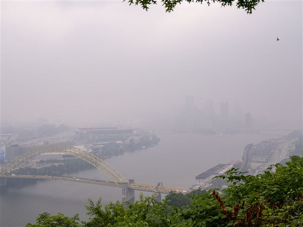 Pirates delay start, opt to play despite air quality warnings, Sports
