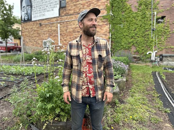 One by Spork farmer Justin Lubecki is restoring and expanding the One by Spork growing space in 2025.