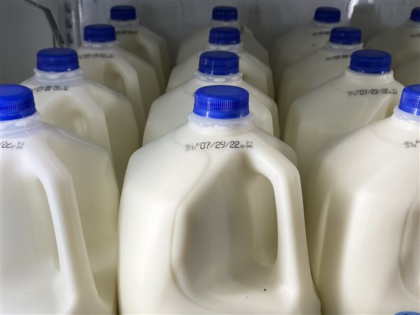 NUTRITION ED: How Much Milk Should My Child Drink? What Kind of Milk? -  Houston Food Bank