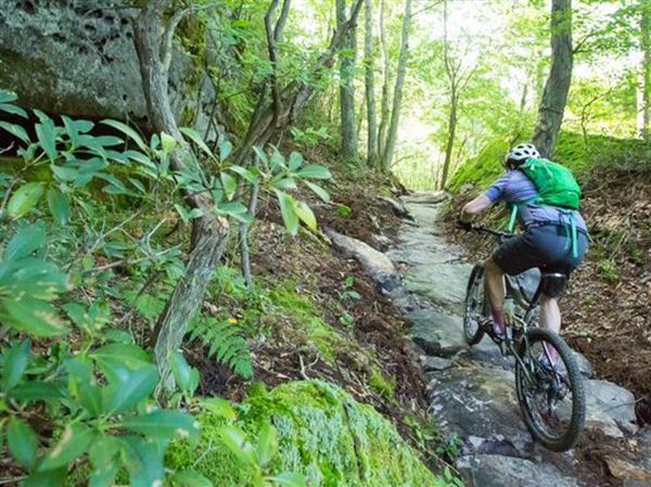 The Pennsylvania 2024 Trail of the Year is Warren County's Trails at Jakes Rocks.